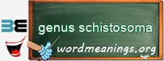 WordMeaning blackboard for genus schistosoma
